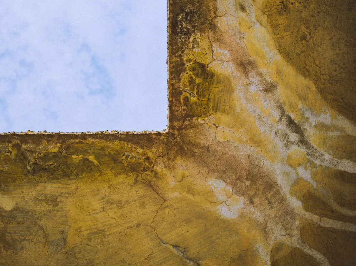Roof Leak Repair in Monroe Township — damp staining and mold around a window opening